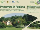 Primavera nel bosco: un’escursione nella natura del Parco del Ticino, domenica 18