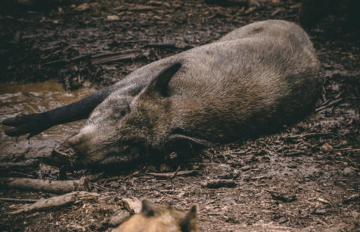 Photo by Jonathan Kemper on Unsplash