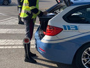 Novara, studente aggredito per un insulto dopo mancata precedenza sulle strisce Novara, studente aggredito per un insulto dopo mancata precedenza sulle strisce