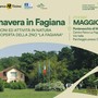 Primavera nel bosco: un’escursione nella natura del Parco del Ticino, domenica 18