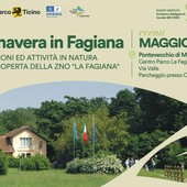 Primavera nel bosco: un’escursione nella natura del Parco del Ticino, domenica 18