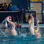 Pallanuoto: ancora vittorie per le squadre dell'H2Sport Vigevano