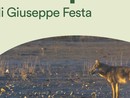 Buon compleanno Parco del Ticino! Tre eventi tematici da non perdere