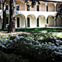 Vigevano, sabato 7 novembre la prima giornata del “Belsentire”