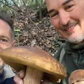 Castelletto di Cuggiono: porcini da record nei boschi della zona