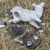 Magenta, festività pre natalizie all’insegna dei vandali: danni al presepe, distributori presi a calci e fuochi notturni