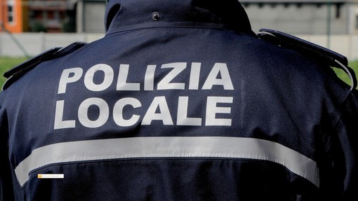 Vigevano: la Polizia locale recupera due cani che si erano allontanati da casa