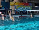 Pallanuoto, poker di vittorie per le squadre dell'H2Sport Vigevano