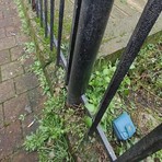 Magenta: trova documenti smarriti e li consegna alla Polizia locale, un piccolo episodio che ricorda l’importanza del senso civico