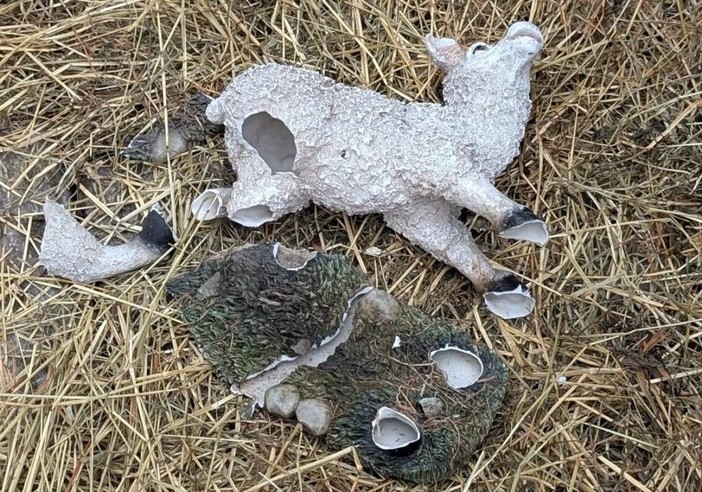 Magenta, festività pre natalizie all’insegna dei vandali: danni al presepe, distributori presi a calci e fuochi notturni Magenta, festività pre natalizie all’insegna dei vandali: danni al presepe, distributori presi a calci e fuochi notturni