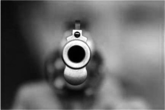 Paura nel Milanese: appicca un incendio in casa e spara con una pistola Paura nel Milanese: appicca un incendio in casa e spara con una pistola