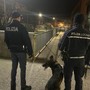 Servizio straordinario di controllo del territorio in centro a Pavia: sequestrata una dose di hashish e denunciata una persona in possesso di un martelletto frangivetro