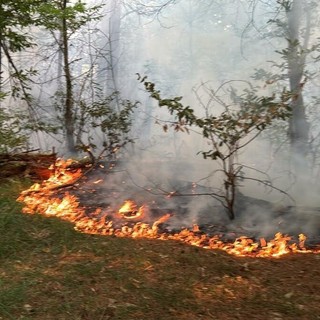 Nove incendi in dieci giorni nel Parco del Ticino