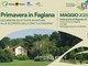 Primavera nel bosco: un’escursione nella natura del Parco del Ticino, domenica 18