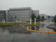 Arluno: investita dall’autoarticolato, donna muore in ospedale Arluno: investita dall’autoarticolato, donna muore in ospedale