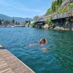 Dramma nel lago di Como: recuperato a dieci metri di profondità il corpo di un ragazzino