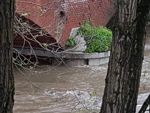 - (FOTO e VIDEO) - La situazione attuale di Po e Agogna tra Lomello e Pieve del Cairo - (FOTO e VIDEO) - La situazione attuale di Po e Agogna tra Lomello e Pieve del Cairo