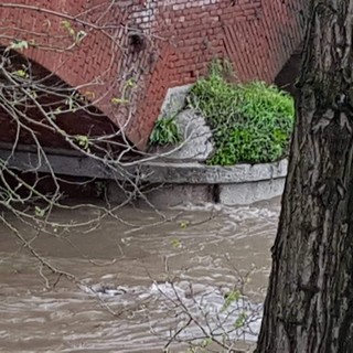 - (FOTO e VIDEO) - La situazione attuale di Po e Agogna tra Lomello e Pieve del Cairo - (FOTO e VIDEO) - La situazione attuale di Po e Agogna tra Lomello e Pieve del Cairo