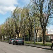 Arpa, in Lombardia raffiche di vento fino a quasi 130 chilometri orari
