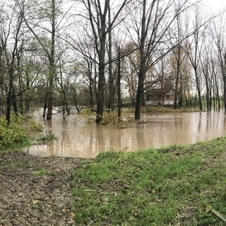 Il fiume Po esondato nelle campagne di Pieve del Cairo Il fiume Po esondato nelle campagne di Pieve del Cairo