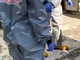 Pavese: anziana cade in casa e viene soccorsa dai Vigili del fuoco Pavese: anziana cade in casa e viene soccorsa dai Vigili del fuoco