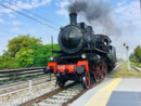 Treni storici, domenica 26 maggio in carrozza sul “Lomellina Express” alla scoperta di Pavia e Mortara