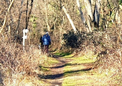 Magenta: colpi di fucile da caccia sull’auto, danno scoperto in officina Magenta: colpi di fucile da caccia sull’auto, danno scoperto in officina