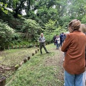 Il riso più buono d’Italia nasce nel Parco, alla Riserva San Massimo