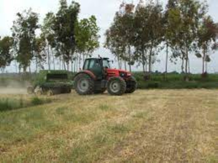 Prezzi: Coldiretti, raddoppiano costi semine, sos nei campi è allarme forniture da latte a grano, aziende in crisi