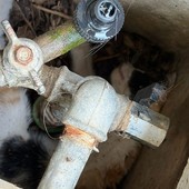 Marcallo con Casone, gattino intrappolato in un tombino: salvato dai Vigili del Fuoco volontari di Inveruno Marcallo con Casone, gattino intrappolato in un tombino: salvato dai Vigili del Fuoco volontari di Inveruno