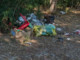 Boffalora: ancora rifiuti sulla spiaggetta del Ticino, oasi naturale o discarica a cielo aperto? Boffalora: ancora rifiuti sulla spiaggetta del Ticino, oasi naturale o discarica a cielo aperto?