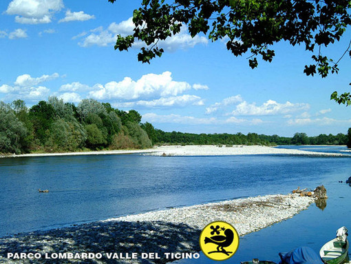 Più acqua nel lago Maggiore: una buona notizia per il Ticino e il Parco