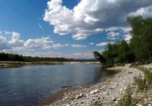 Arriva il Servizio Civile Universale nel Parco del Ticino Arriva il Servizio Civile Universale nel Parco del Ticino