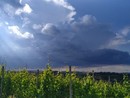 CHE TEMPO FARÀ. Il sole di questa mattina non durerà a lungo. Domenica di nuvole con il rischio di rovesci