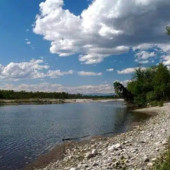 Arriva il Servizio Civile Universale nel Parco del Ticino Arriva il Servizio Civile Universale nel Parco del Ticino