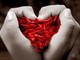 Pavia: muore dopo circa due mesi dal trapianto di cuore e dona gli organi Pavia: muore dopo circa due mesi dal trapianto di cuore e dona gli organi