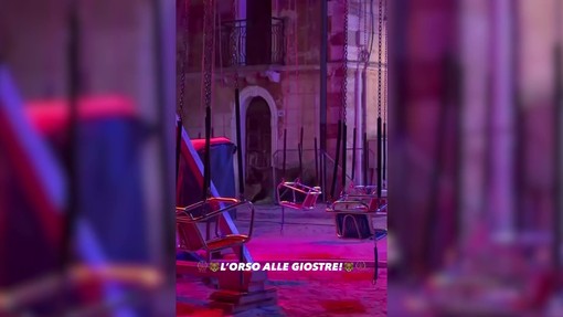 Un orso tra le giostre della festa di Villa Scontrone nell'Aquilano Un orso tra le giostre della festa di Villa Scontrone nell'Aquilano