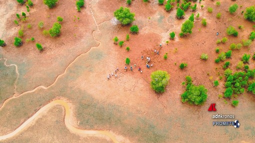 Ambiente: Neya del Gruppo Mundys pianta 2.500 ettari di mangrovie in Madagascar