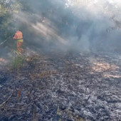 Boffalora, ancora fiamme alla Gambarina: tre roghi distinti, l’ombra del dolo nel Parco del Ticino Boffalora, ancora fiamme alla Gambarina: tre roghi distinti, l’ombra del dolo nel Parco del Ticino