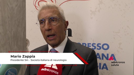 Salute: Zappia (Sin), 'importante distinguere idrocefalo normoteso da forme di parkinsonismo' Salute: Zappia (Sin), 'importante distinguere idrocefalo normoteso da forme di parkinsonismo'