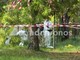 Roma, trovato cadavere in un parco a Tor Sapienza: in corso i rilievi della scientifica