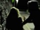 Violenza sessuale a Magenta? I Carabinieri perquisiscono l’abitazione di un 39enne