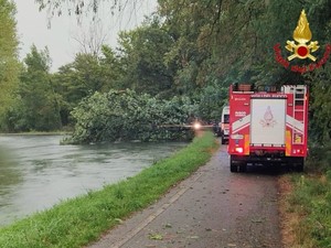 Tragedia a Robecchetto con Induno: albero crolla per il maltempo e uccide una donna