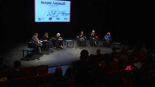 'Strani Animali e altre storie', il libro nato dai bambini che torna ai bambini 'Strani Animali e altre storie', il libro nato dai bambini che torna ai bambini