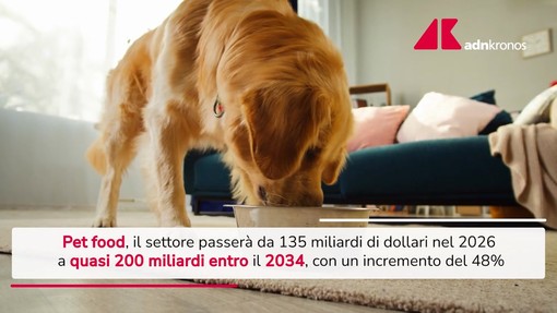 Pet food, previsto boom nel 2034: crescita 48% e 200 miliardi Pet food, previsto boom nel 2034: crescita 48% e 200 miliardi