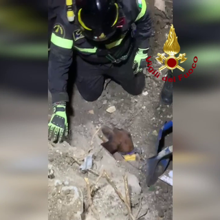 Zavattarello, cane resta intrappolato in un tubo interrato: il video del salvataggio dei Vigili del fuoco