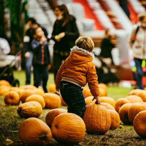 Profumi d’autunno: al Villaggio delle Zucche (San Martino Siccomario) un fine settimana che celebra colori e sapori di stagione Profumi d’autunno: al Villaggio delle Zucche (San Martino Siccomario) un fine settimana che celebra colori e sapori di stagione