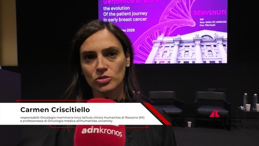 Tumori: mammella, Criscitiello (Humanitas), 'con test genomici meno chemioterapia e più mirata' Tumori: mammella, Criscitiello (Humanitas), 'con test genomici meno chemioterapia e più mirata'