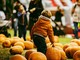 Il saluto del Villaggio: il pumpkin patch alle porte di Pavia si congeda, arrivederci al 2025 Il saluto del Villaggio: il pumpkin patch alle porte di Pavia si congeda, arrivederci al 2025