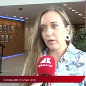 Agricoltura, Guarda (Verdi): "Pac e Ocm fondamentali per il futuro del settore in Europa" Agricoltura, Guarda (Verdi): "Pac e Ocm fondamentali per il futuro del settore in Europa"